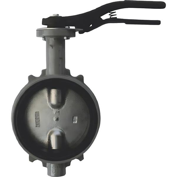 Затвор дисковый Giacomini поворотный DN200, R59WX020