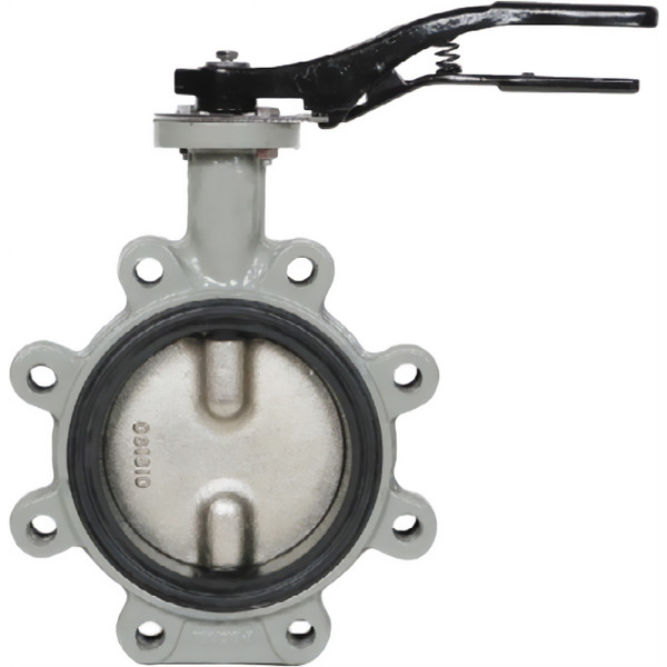 Затвор дисковый Giacomini поворотный с проушинами DN200, R59FLX020