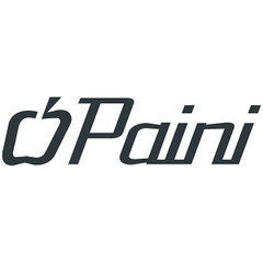 PAINI
