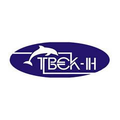 Твек-Н