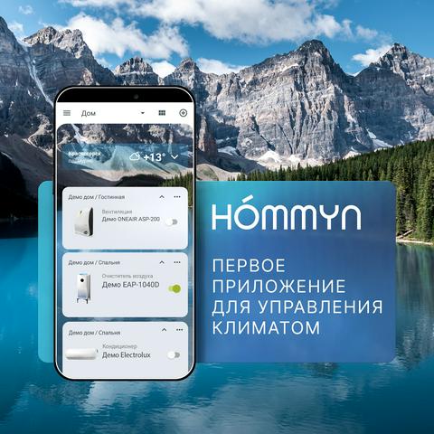 Блок управления (шлюз) Hommyn Hub HH-01