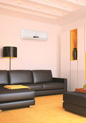 Здоровый воздух от Electrolux